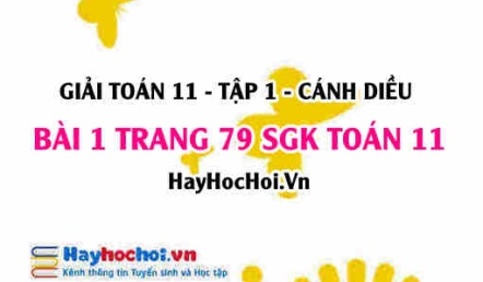 Giải bài 1 trang 79 Toán 11 tập 1 SGK Cánh Diều